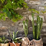 Guest house старата баkалия The Old Grocery, Guest Balchik