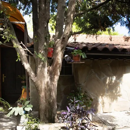 старата баkалия The Old Grocery, Guest Guest house