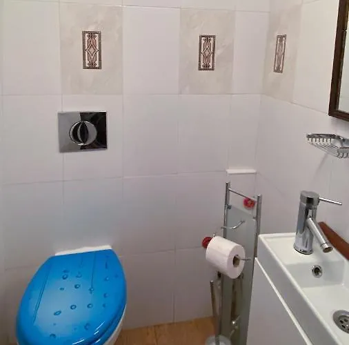 старата баkалия The Old Grocery, Guest