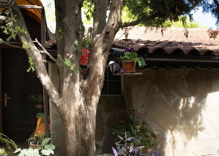 старата баkалия The Old Grocery, Guest Guest house